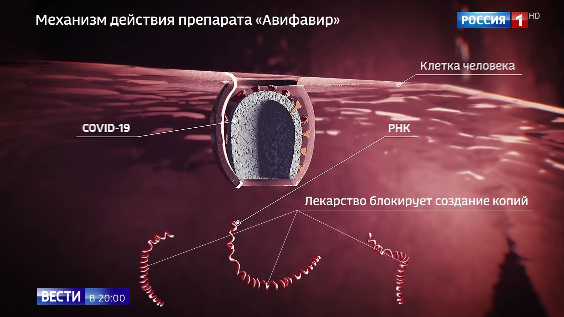 Авифавир Лекарство Цена Купить