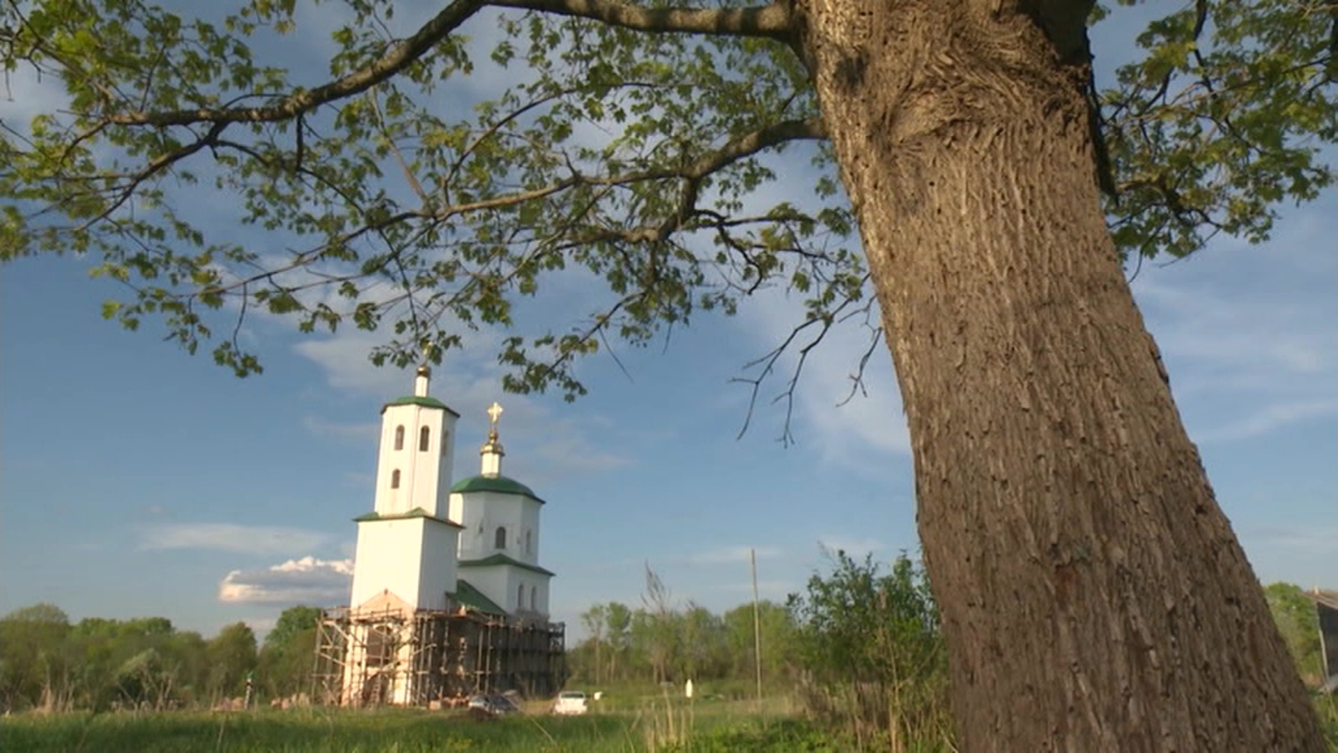 Подберезье псковская область локнянский район фото