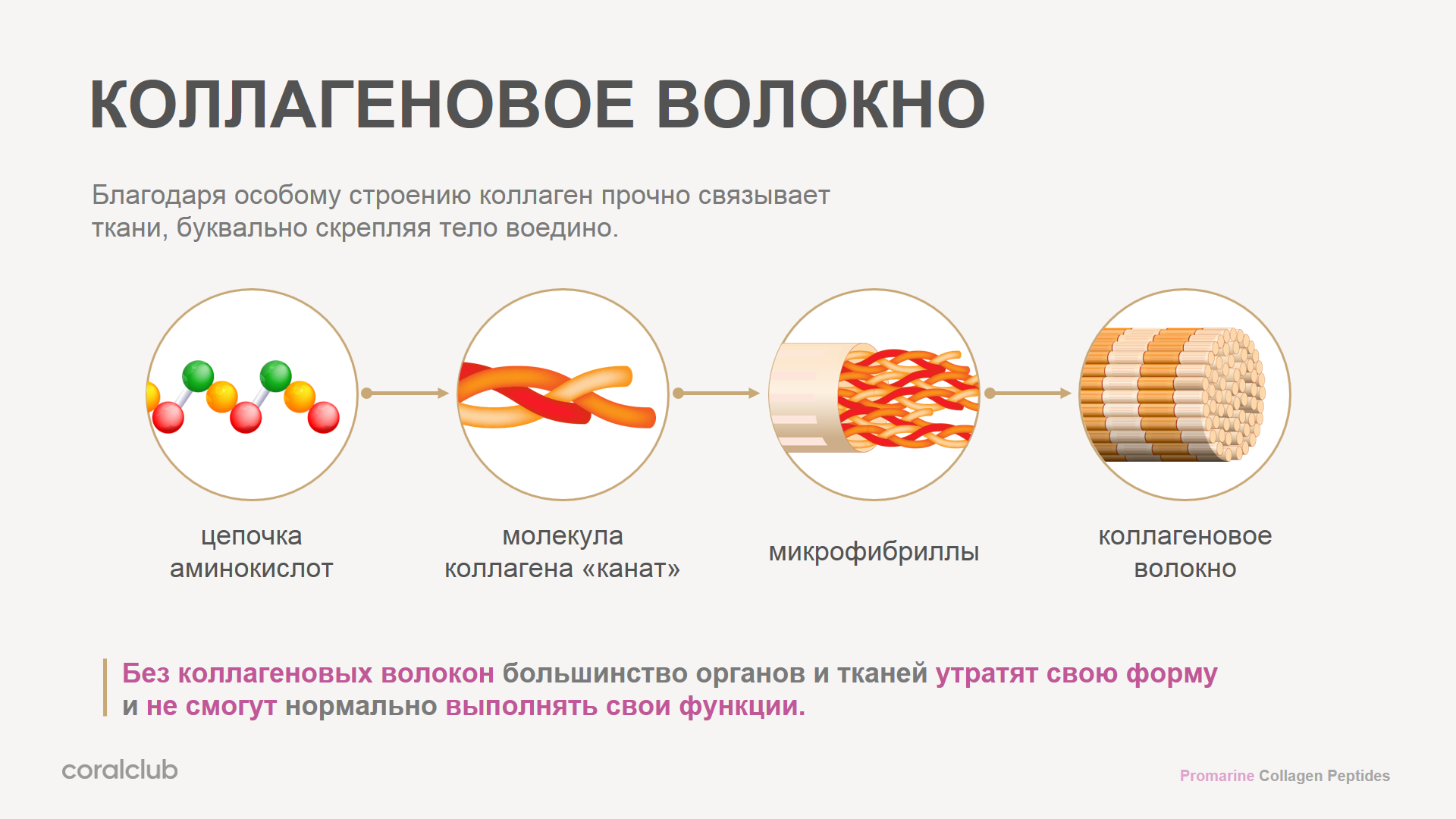 Что такое коллаген картинка