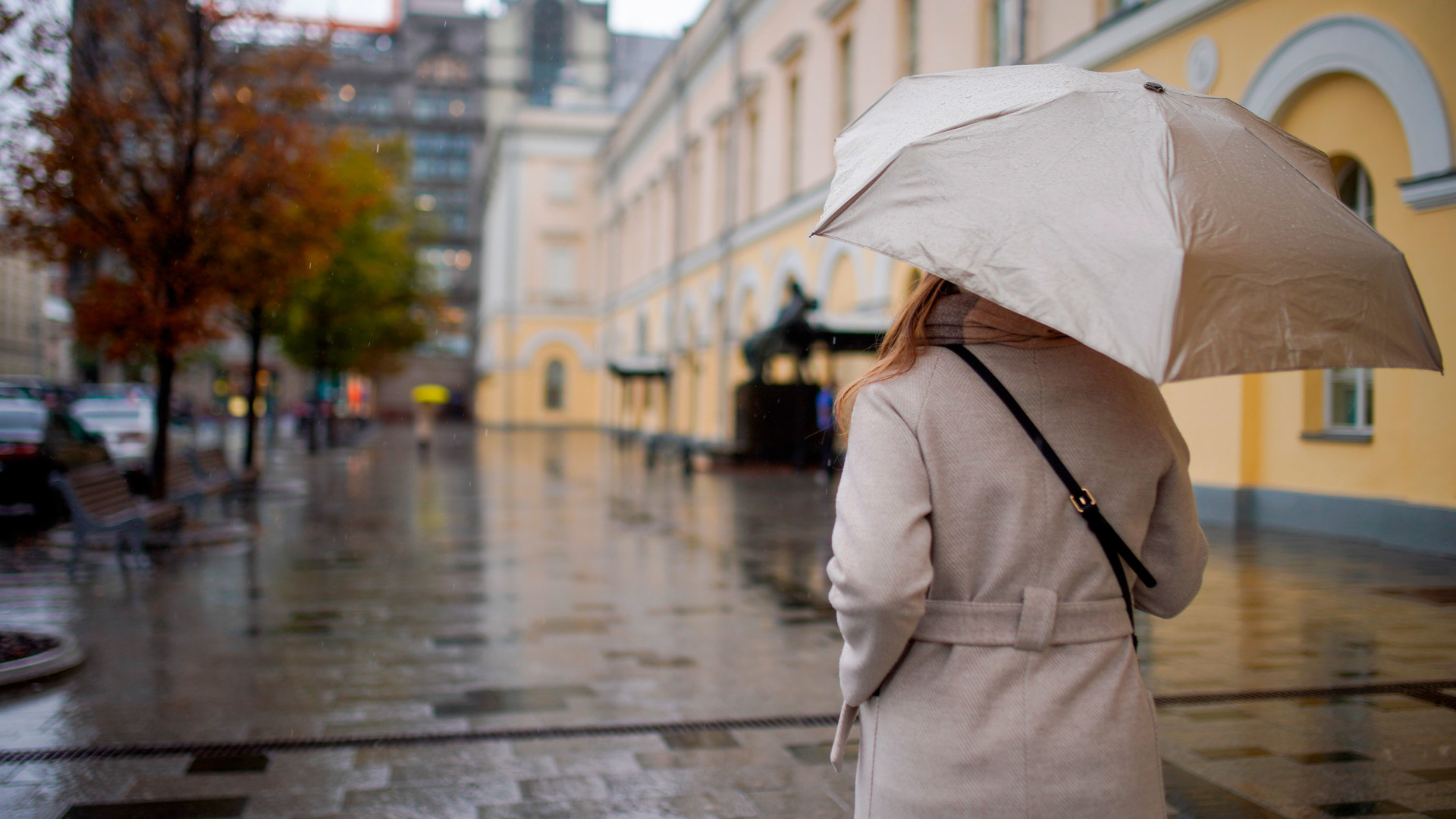 Москва сентябрь дождливо