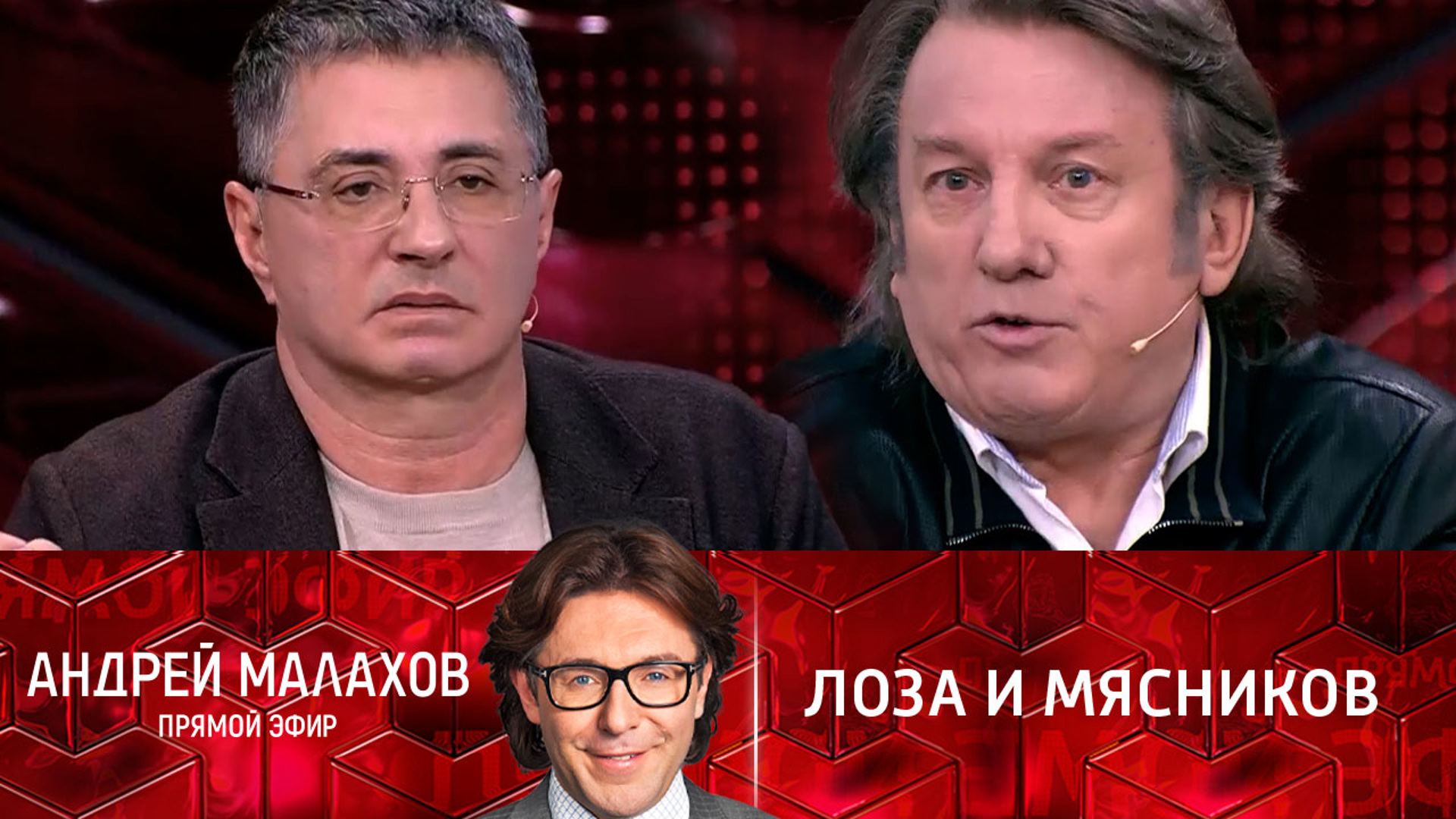 Лоза ответил на стихи девочки с украины. Ответ лозе. Ответ лозе. Ответ лозе. Никогда мы не будем братьями стих.