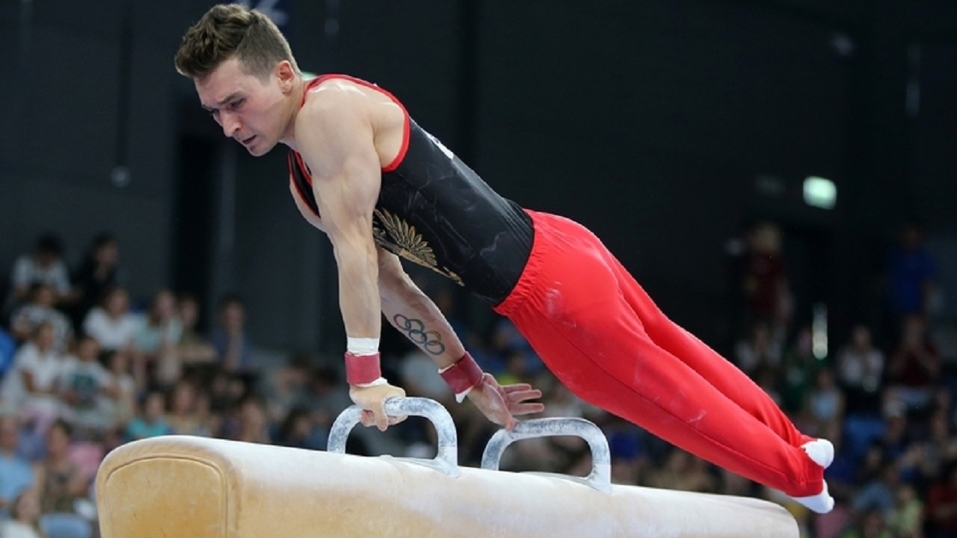 Highlights moments of Gymnastics Replay