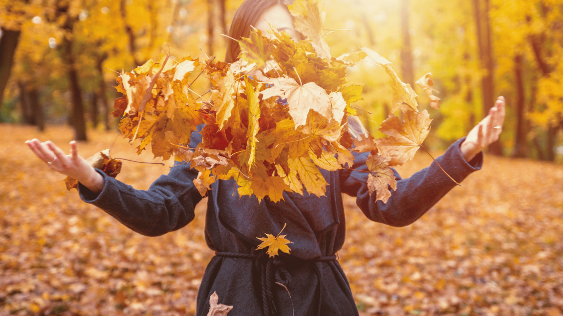 Главная роль осень. Осень. Осень люди. Осенние листья в руках. Осенние листья в руках девушки.