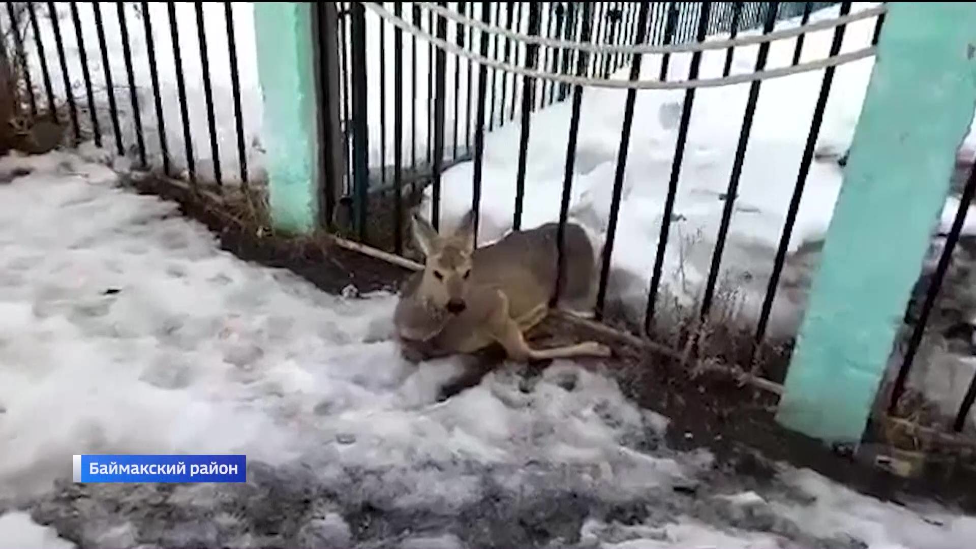 Подойдете сегодня