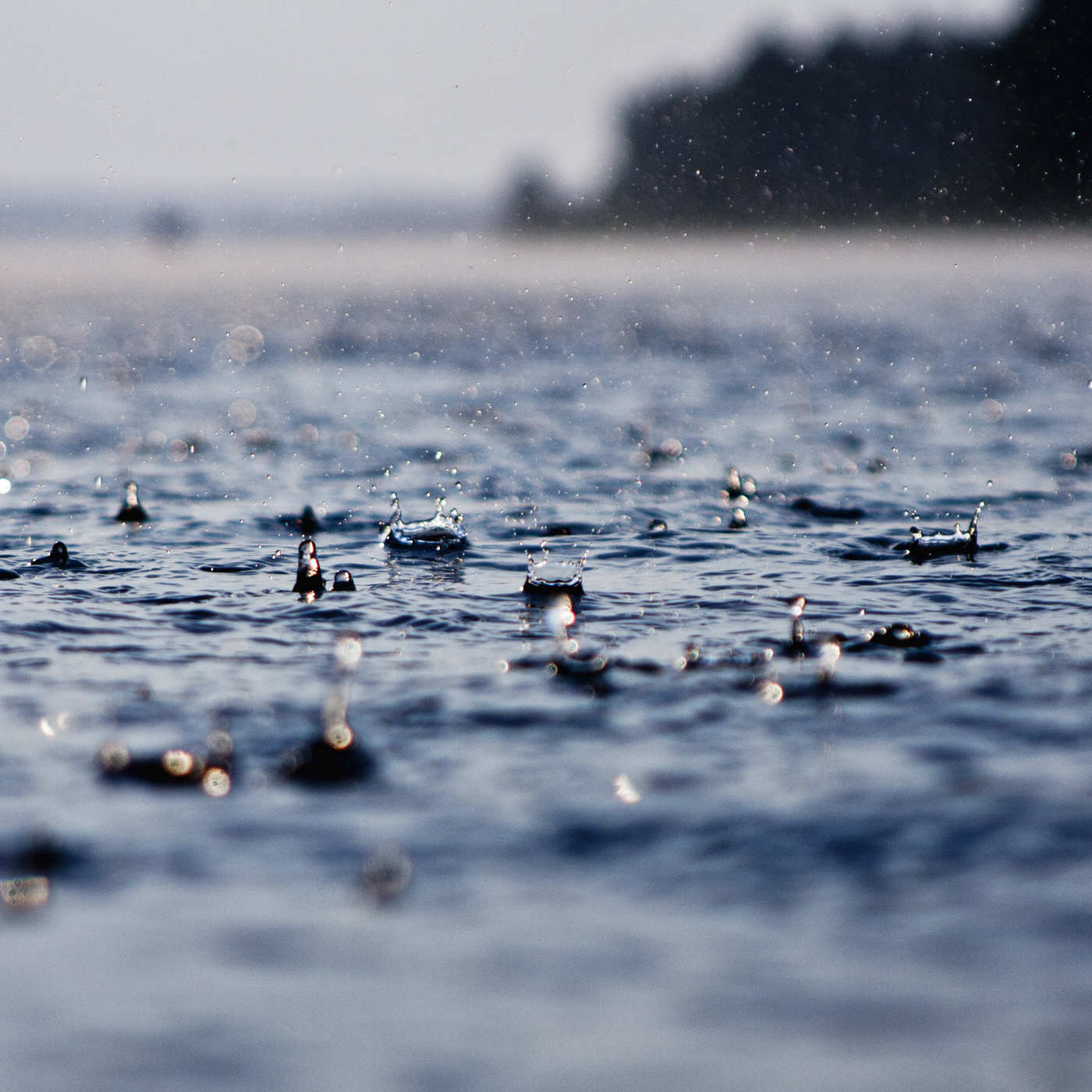 Вода дождик. Дождь. Дождь на море. Дождь в океане. Дождливое море.