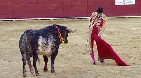 Шины Matador (Тореадор)
