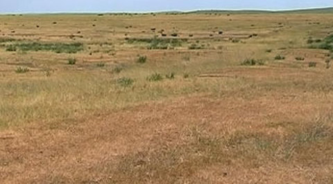 В Костромской области из-за засухи введен режим ЧС