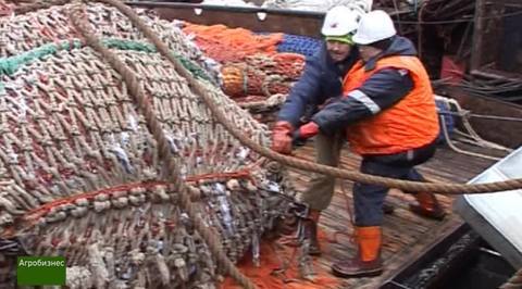 Агробизнес. Эфир от 20.11.2016