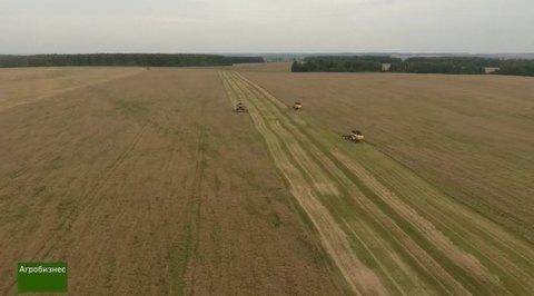 Агробизнес. Эфир от 19.12.2016