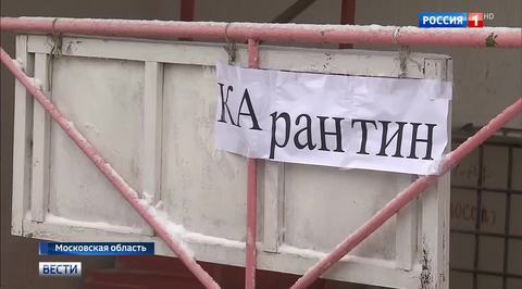 Птичий грипп в Подмосковье: приняты меры к нераспространению
