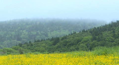 В двух регионах расширят границы ТОР