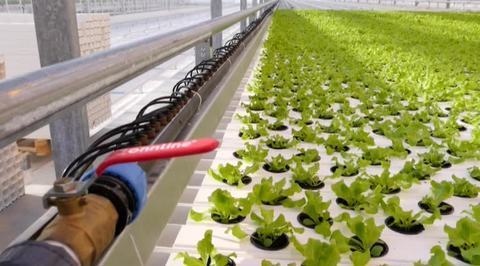 Минэкономразвития: ВВП России вырос в 2021 году на 4,6%