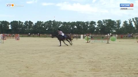 Курганский ипподром готовится к открытию бегового сезона