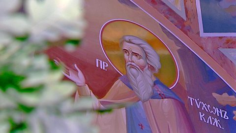 Преподобный Тихон – почти настоящий дендрит
