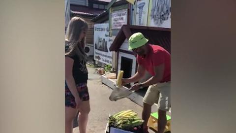 "Та самая кукуруза" с поля, где аварийно сел А321, стала целебной и дорогой