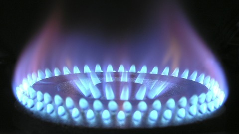 "Зеленые" призвали власти ФРГ к диалогу с Россией по ситуации с газом