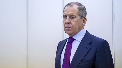 Лавров констатировал снижение евроиммунитета к "коричневой чуме"