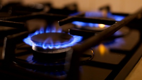 Кот спас жителей дома в Выборге от отравления газом