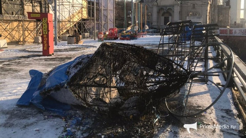 Сожженная мышь во Владивостоке: полиция начала проверку