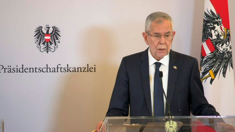 Президент Австрии получил сотрясение мозга