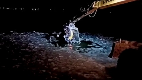 В Екатеринбурге строители спасли тонущую собаку, добравшись до нее на экскаваторе