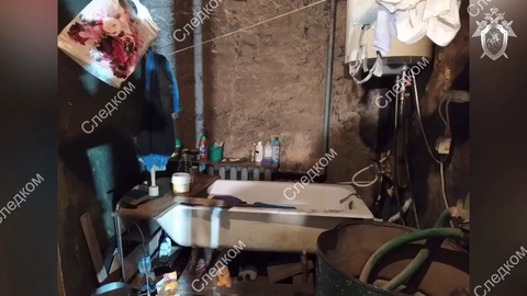 Семь с половиной лет с отцом-насильником: опубликованы кадры из дома гатчинской семьи