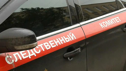 В Уссурийске неадекватную мать подозревают в убийстве 7-летней дочки