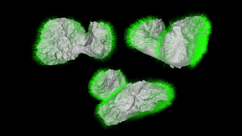 Открытие вЕКА: Комета 67P была сформирована из двух тел
