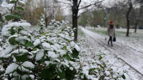 Москва попала в "кольцо снежинок"