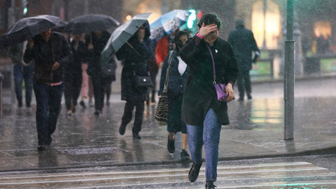 Ураган в Москве