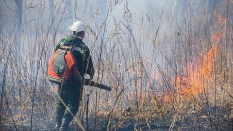 В Приморье при тушении лесного пожара погиб спасатель