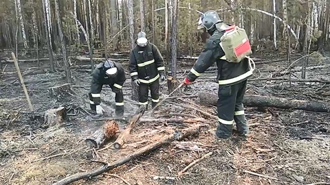 В тушении пожаров в Курганской области задействованы более 1000 человек