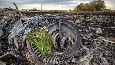 В ДНР готовы предоставить доступ к месту крушения МН17