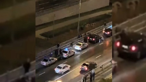 Москвичку, сбросившую дочерей с моста, будут принудительно лечить