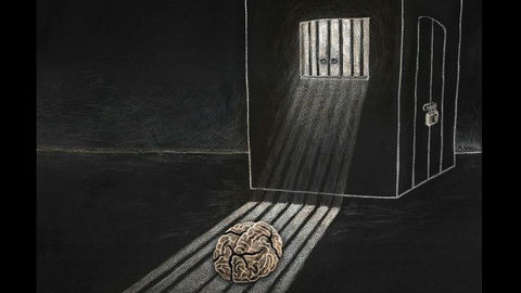 Социальная изоляция меняет химический состав мозга
