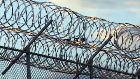 В ярославской колонии, где избивали заключенных, назначена новая проверка