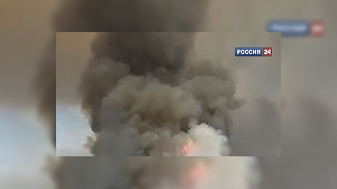 Жаркое лето-2010: подмосковные леса горели по вине человека