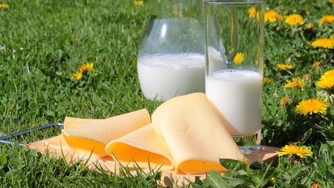 Молочные продукты снижают риск развития сердечно-сосудистых заболеваний