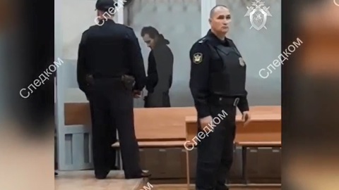 Суд заключил под стражу подозреваемого в убийстве девочки в Саратове. Видео