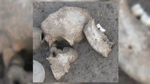 Их нравы: галлы бальзамировали и выставляли напоказ отрубленные головы своих врагов