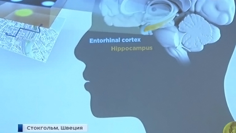 Премия за ориентацию: Нобель достался первооткрывателям GPS мозга