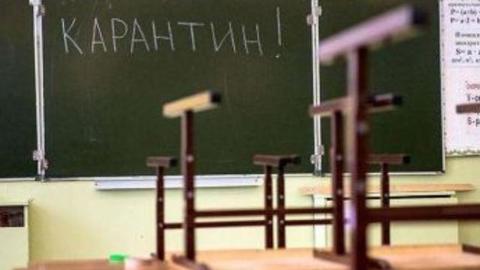 Три класса новой костромской гимназии ушли на коронавирусный карантин