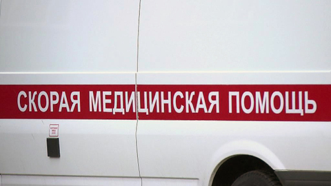 В мастерской Церетели на ребенка во время селфи упала скульптура