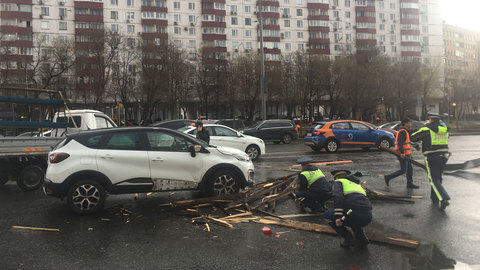 1200 поваленных в Москве деревьев вывезли на утилизацию