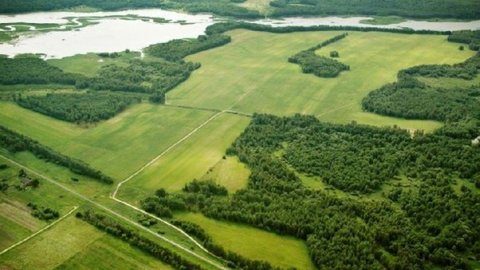 Предложено бесплатно раздавать землю крепким семьям