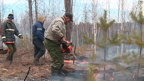 Особый противопожарный режим снят почти по всей Амурской области