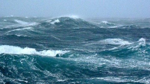 Три человека утонули во время охоты на осьминогов на Сахалине