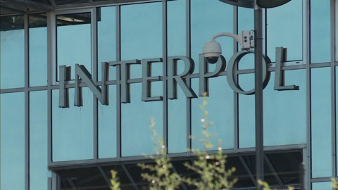 Полномочия Интерпола в России ограничили