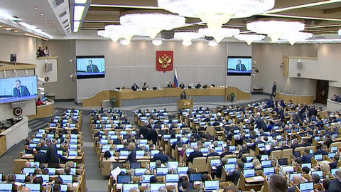 Депутатов Госдумы проверят на наличие иностранного гражданства