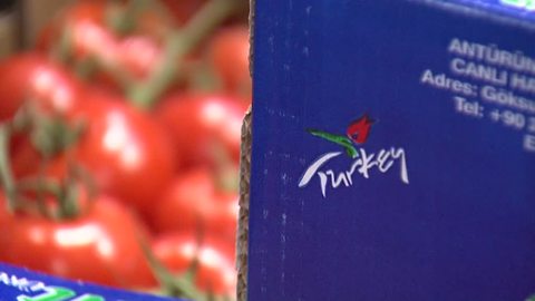 Россельхознадзор проверит турецких производителей томатов